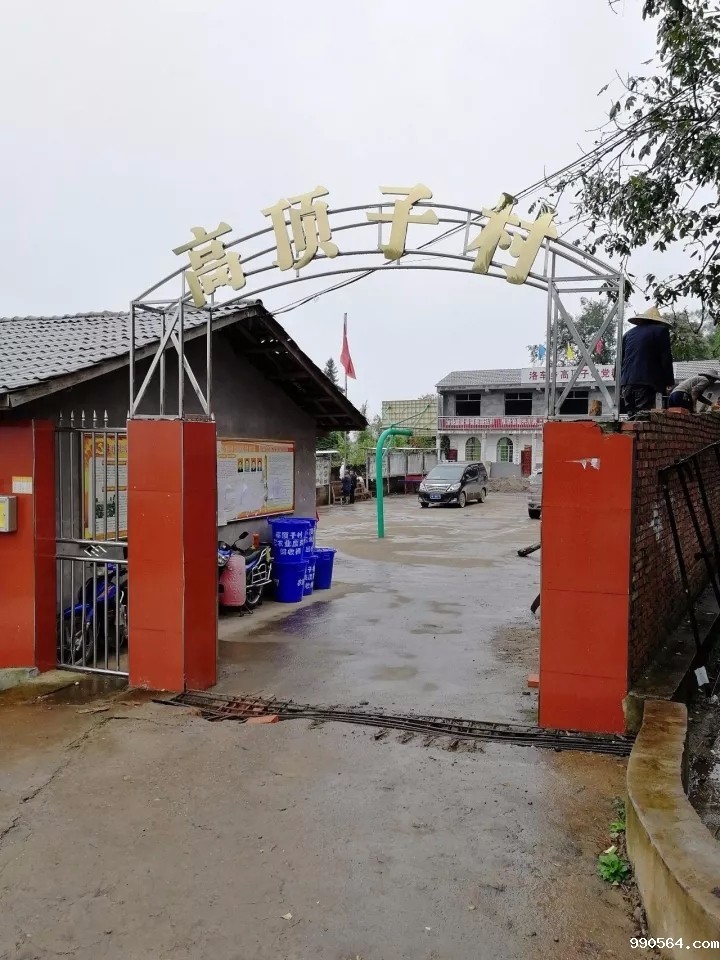 1.webp.jpg 1.webp.jpg