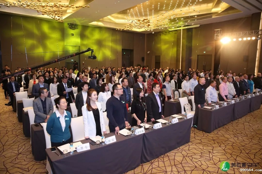 01.webp.jpg 01.webp.jpg