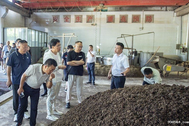 _DSC6110.jpg _DSC6110.jpg